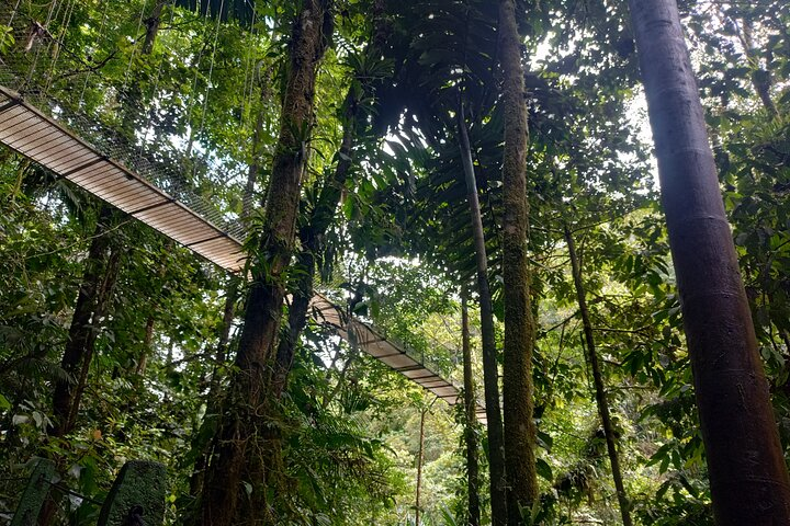 Hanging Bridges Walk in Costa Rica - Photo 1 of 7